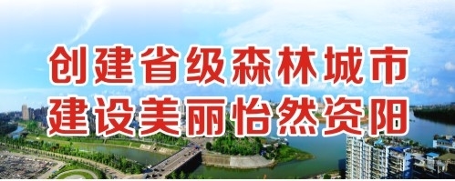 大鸡巴干骚逼无码免费公开视频创建省级森林城市 建设美丽怡然资阳